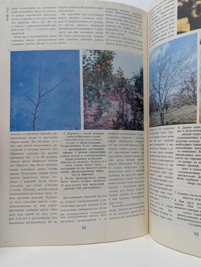 Приусадебное хозяйство. Выпуск 1/1985