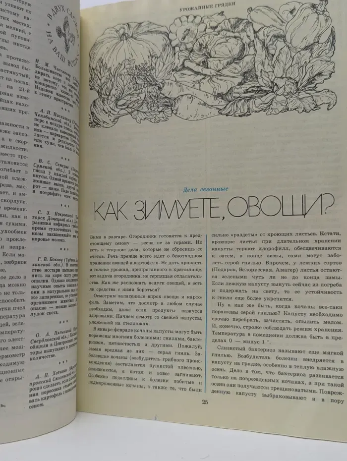 Приусадебное хозяйство. Выпуск 06/1985