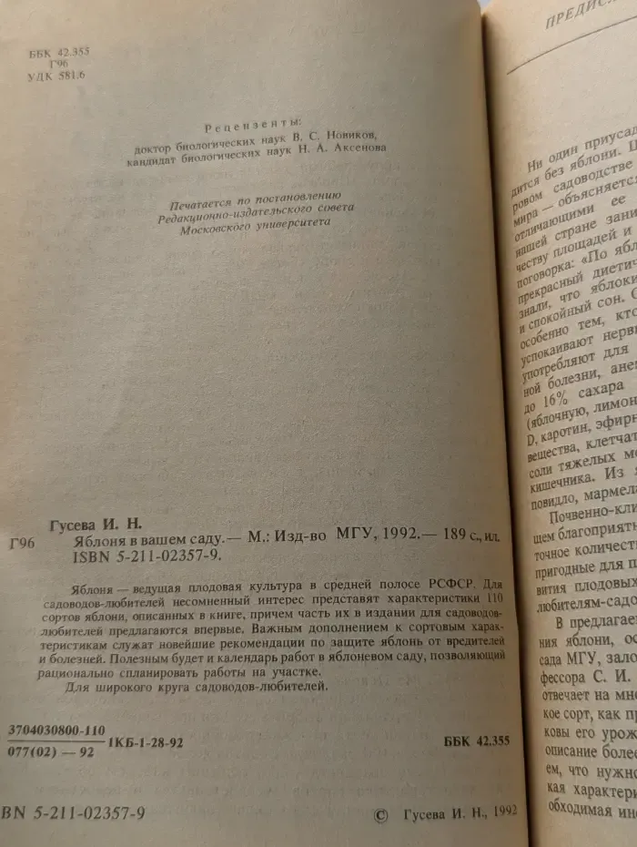 Яблоня в вашем саду