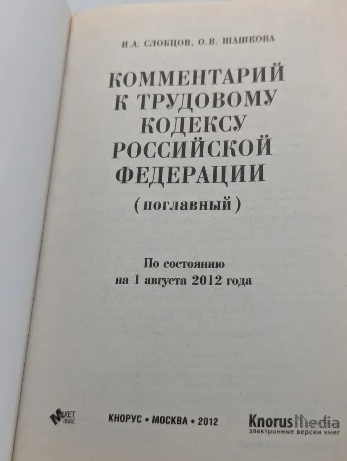 Комментарий к Трудовому кодексу Российской Федерации, поглавный