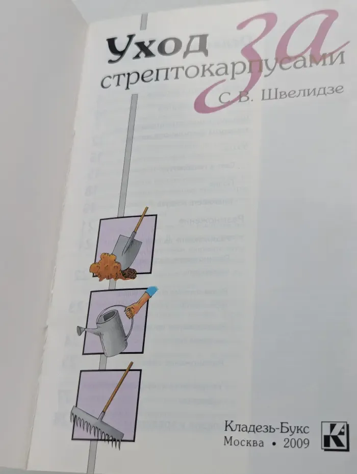 Сам себе садовник. Уход за стрептокарпусами