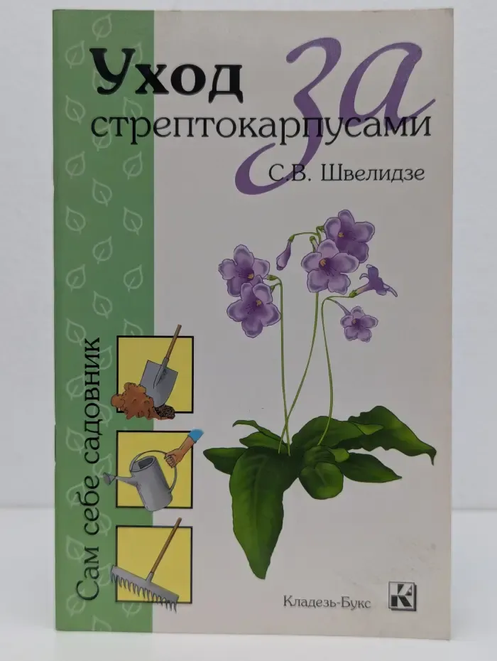 Сам себе садовник. Уход за стрептокарпусами