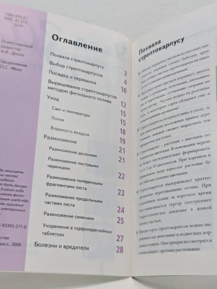 Сам себе садовник. Уход за стрептокарпусами
