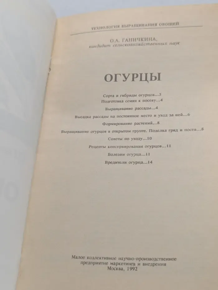 Огурцы