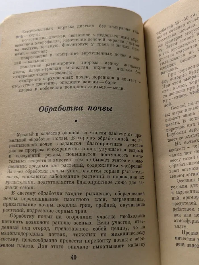 Домашний огород