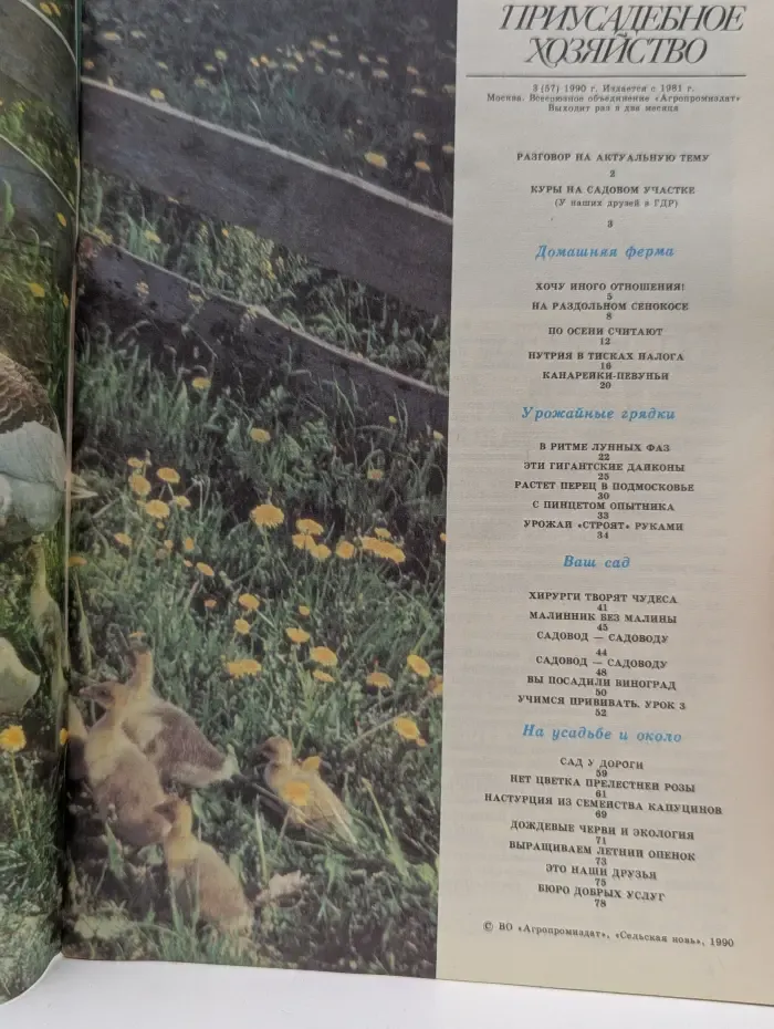 Приусадебное хозяйство. Выпуск № 3/1990