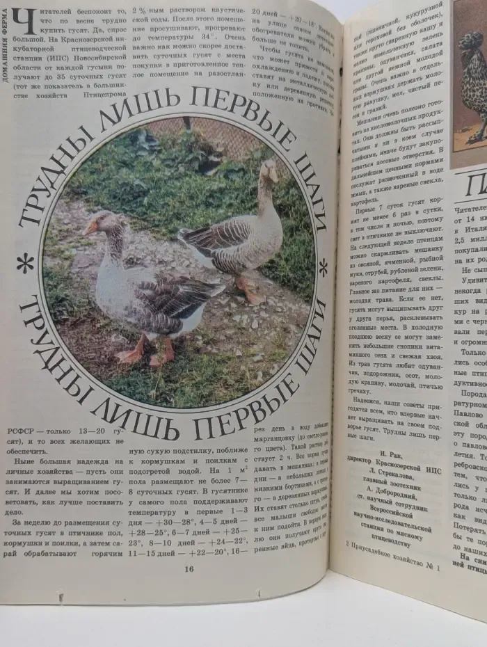 Приусадебное хозяйство. Выпуск № 1/1989