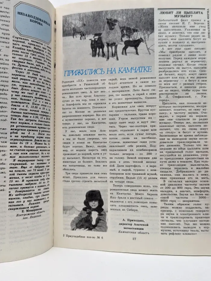 Приусадебное хозяйство. Выпуск № 6/1988