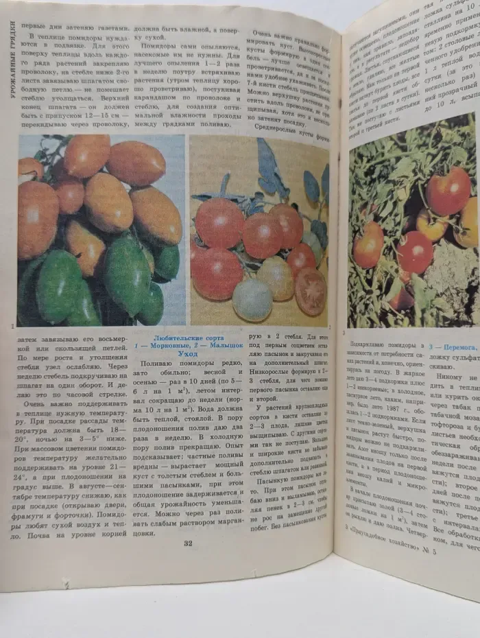 Приусадебное хозяйство. Выпуск № 5/1988