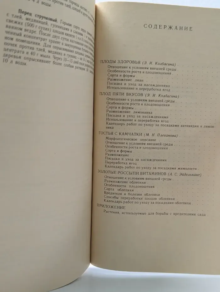 Лесные незнакомцы в нашем саду