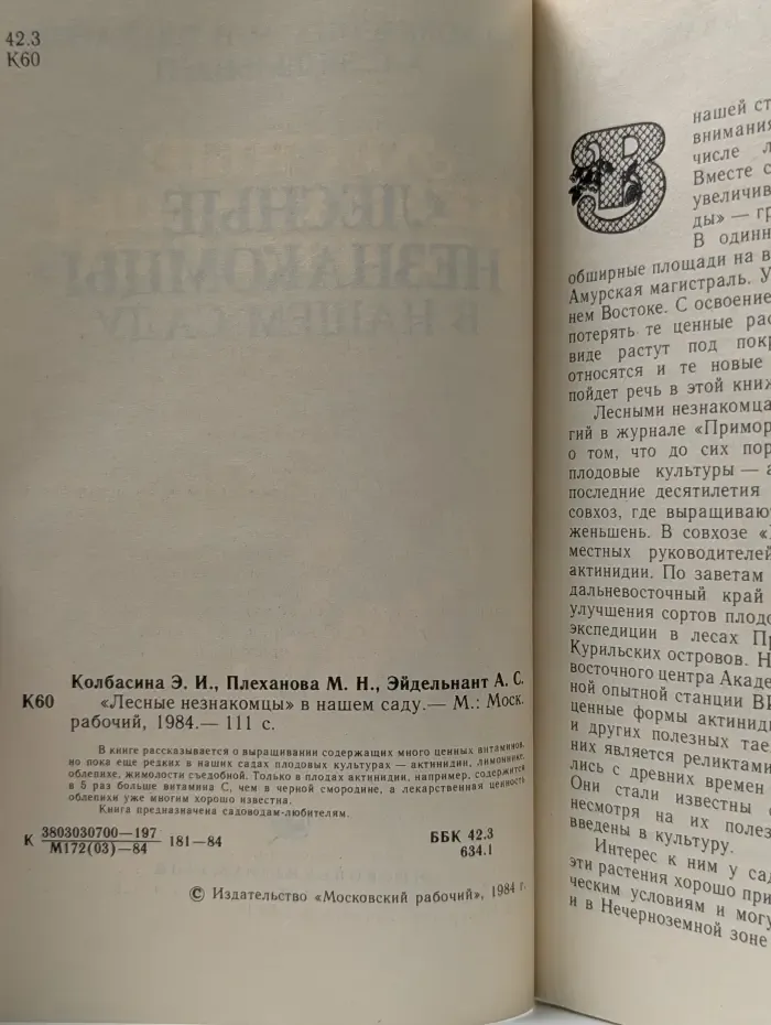 Лесные незнакомцы в нашем саду