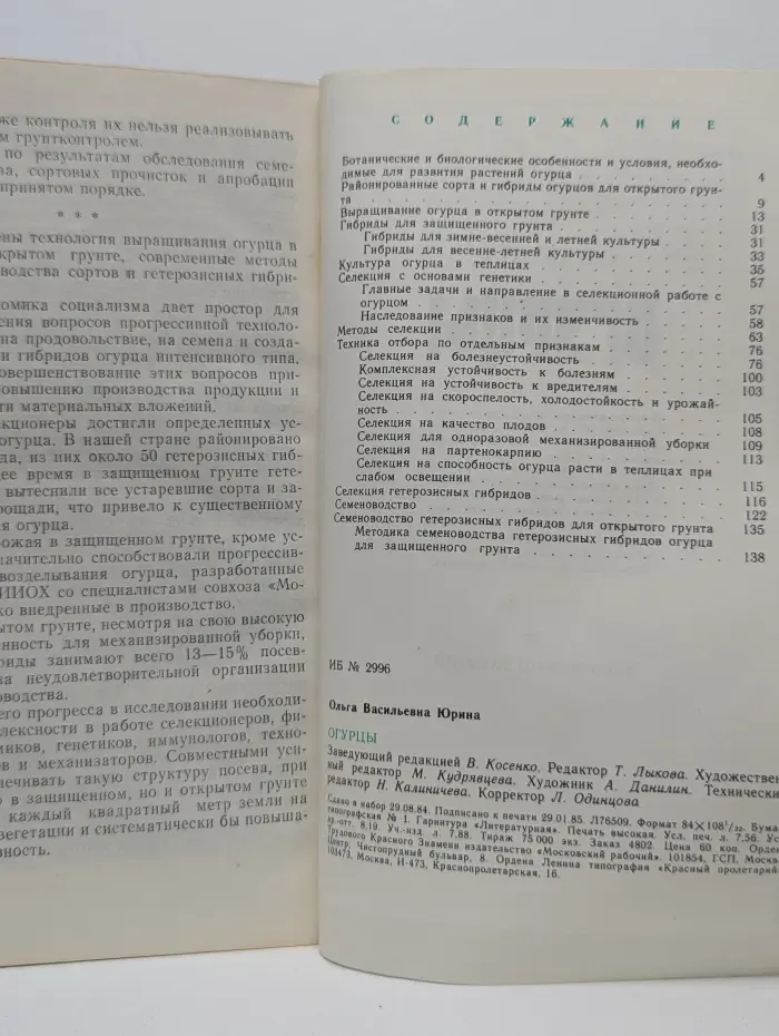 Огурцы