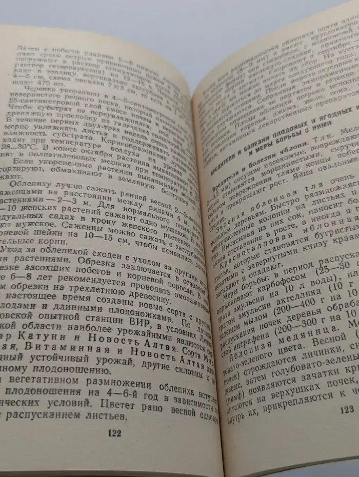 Приусадебное подсобное