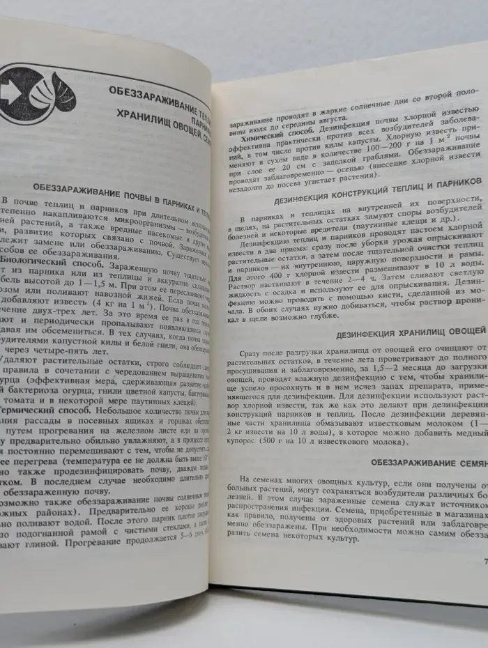 Защита растений от вредителей и болезней на участке