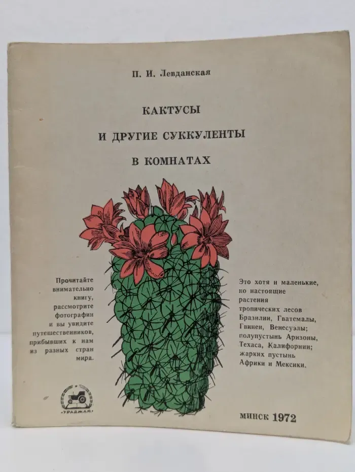 Кактусы и другие суккуленты в комнатах