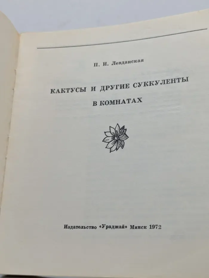 Кактусы и другие суккуленты в комнатах