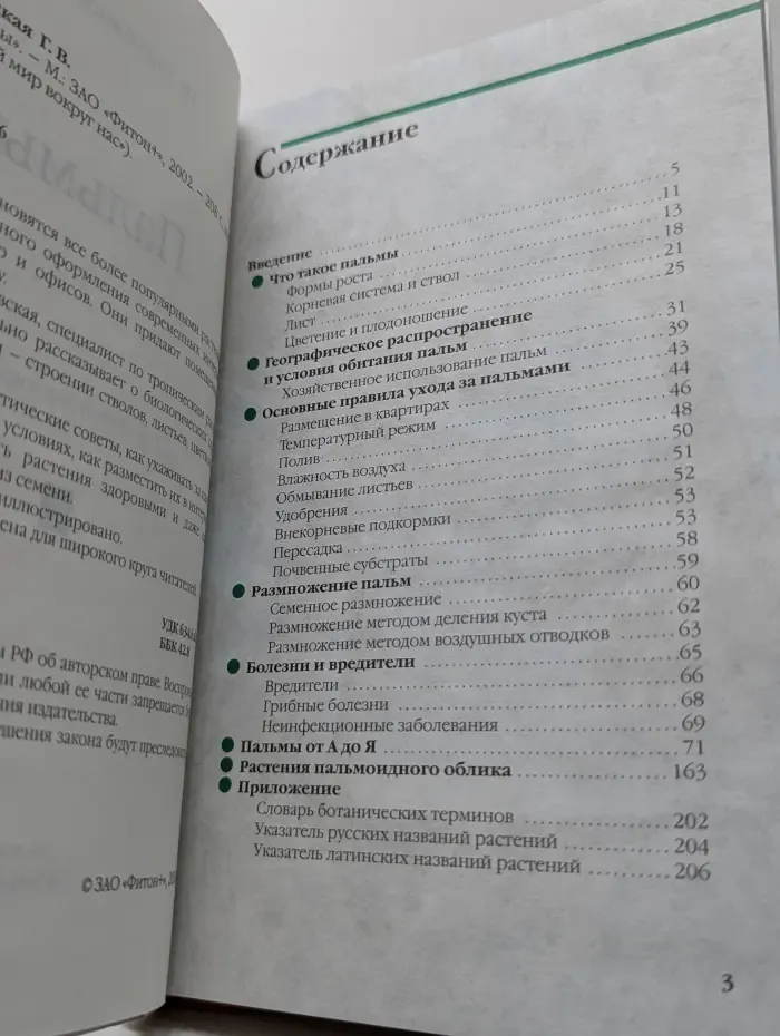 Живой мир вокруг нас. Пальмы