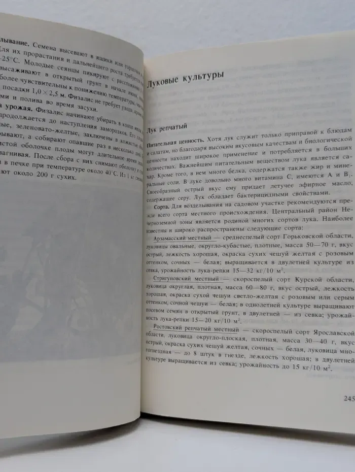 Мое хобби-садовый участок
