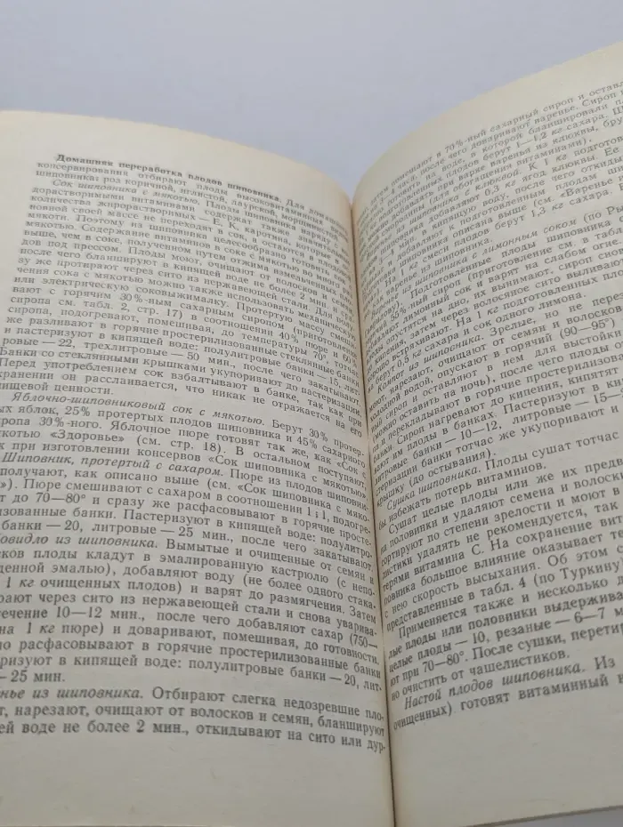 Черноплодная рябина, облепиха и другие перспективные плодово-ягодные растения