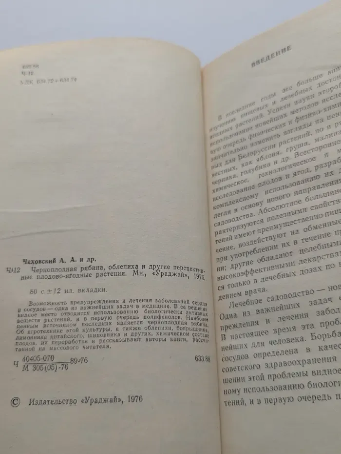 Черноплодная рябина, облепиха и другие перспективные плодово-ягодные растения