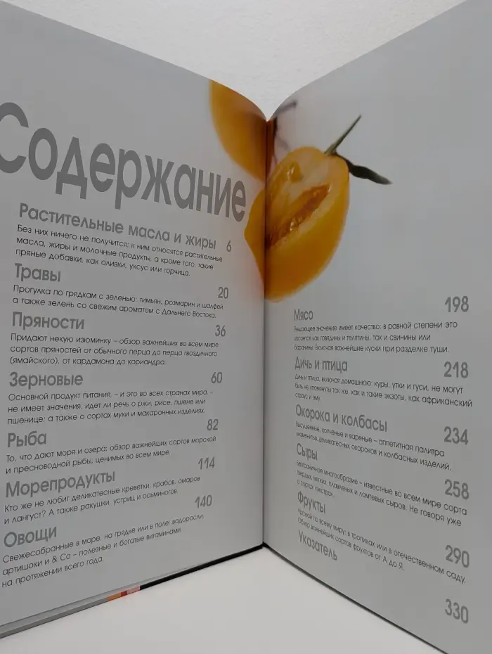 Food: Весь мир продуктов питания