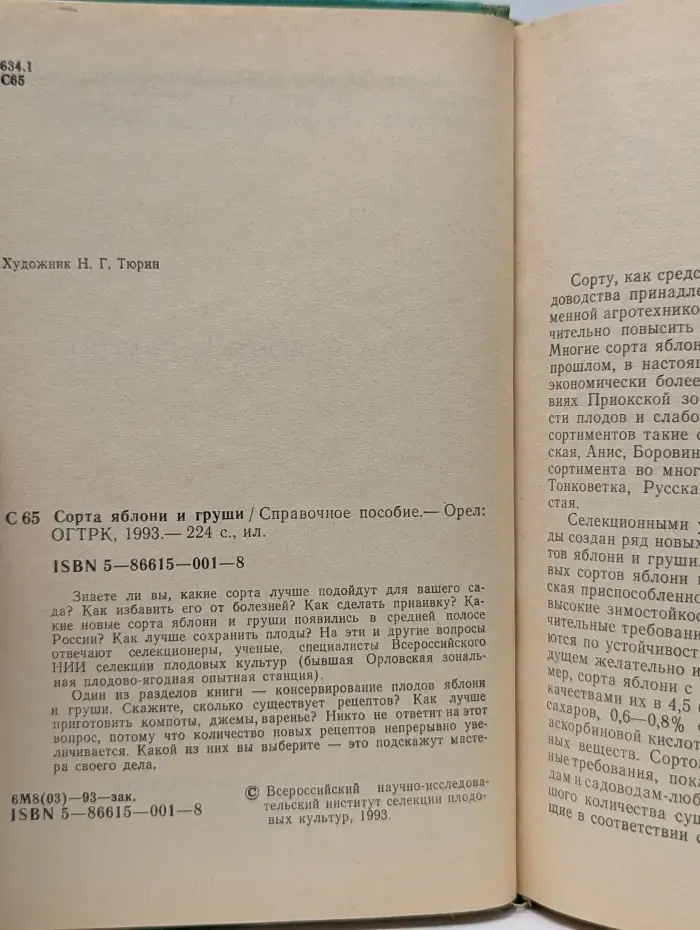 Сорта яблонь и груш