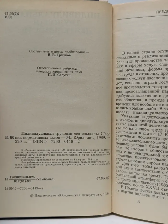 Индивидуальная трудовая деятельность