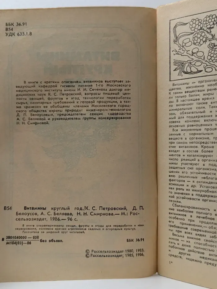 Витамины круглый год