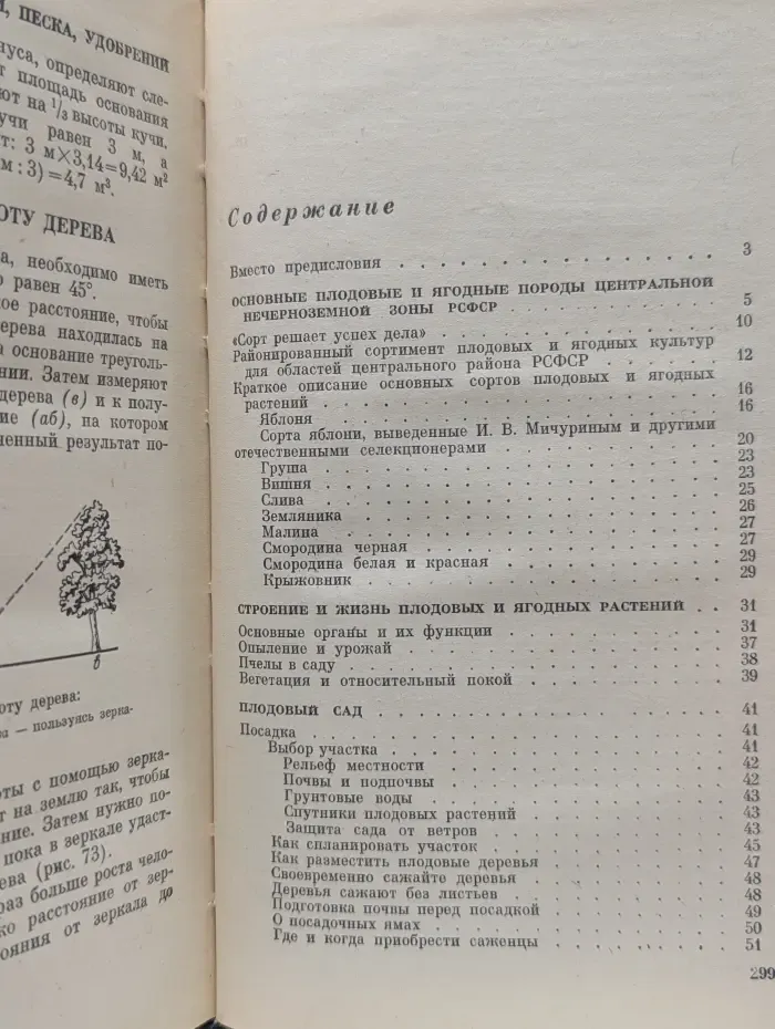 Практические советы по садоводству