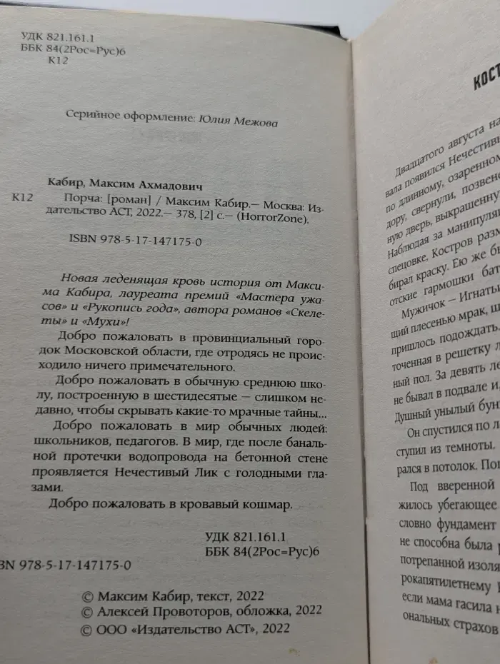 HorrorZone. Порча