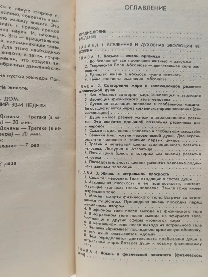 Библиотека йога и экстрасенса. Человек и его душа. Жизнь в физическом теле и астральном мире