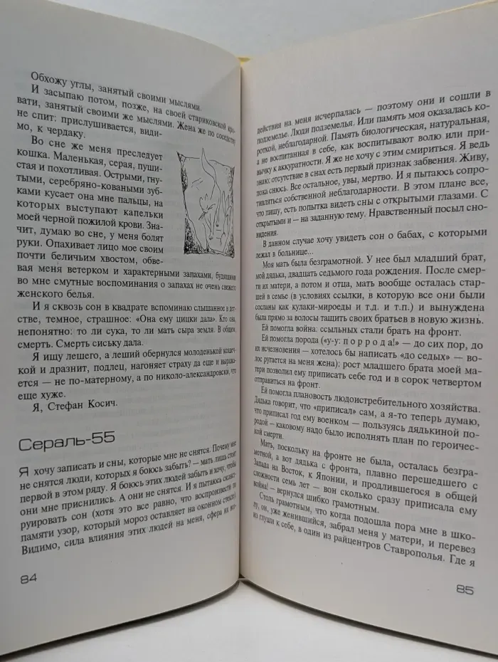 Сераль - 55. Роман в сновидениях