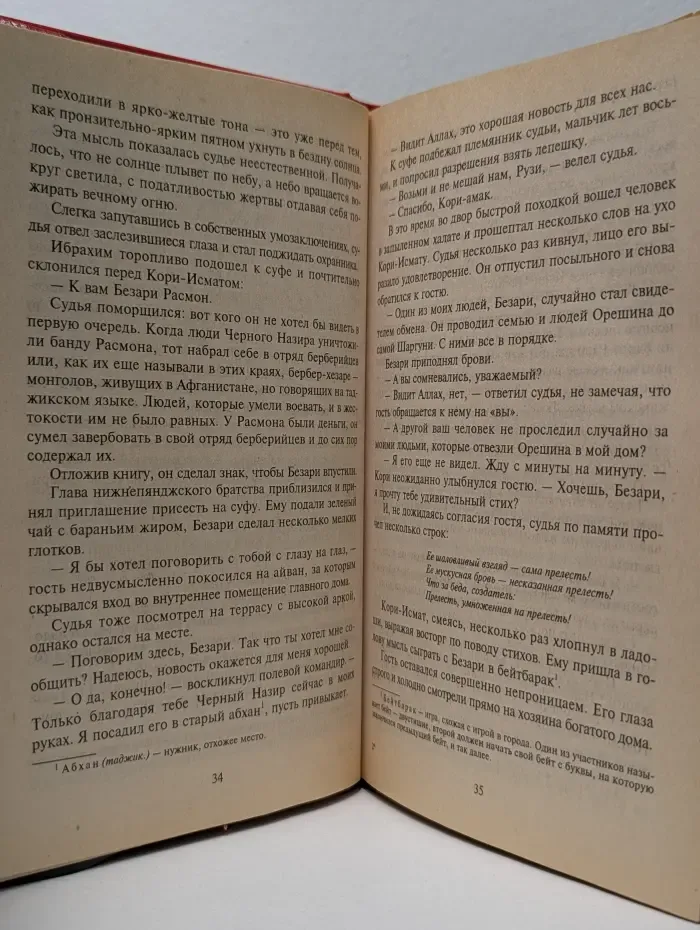 Черная кошка. Черный беркут