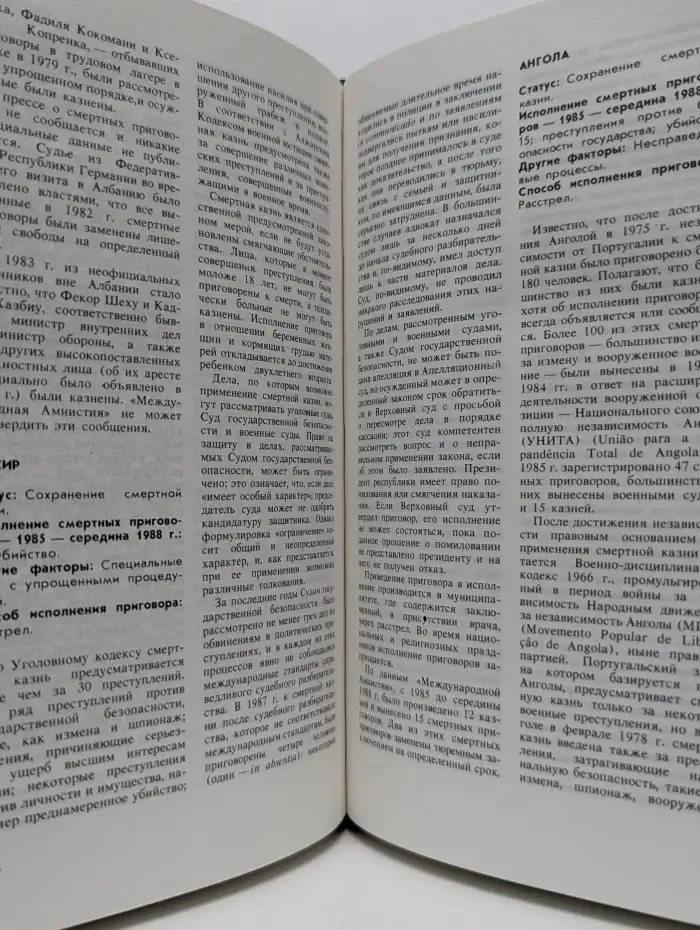 Когда убивает государство