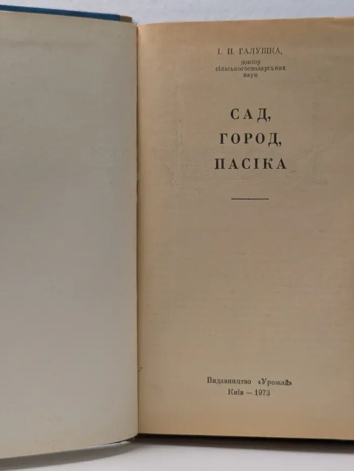 Сад, город, пасека