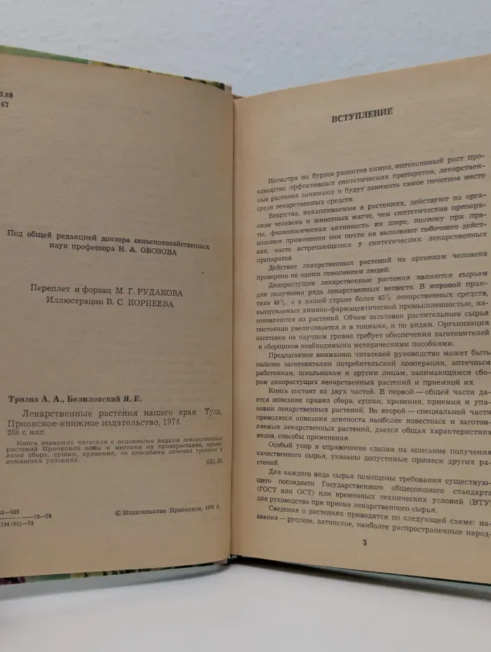 Лекарственные растения нашего края