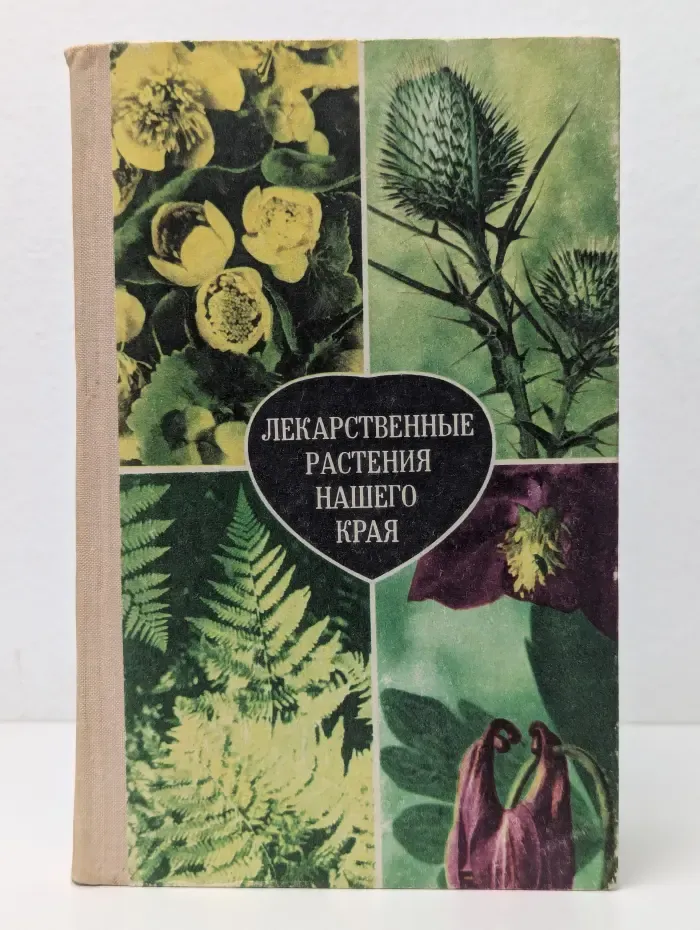 Лекарственные растения нашего края