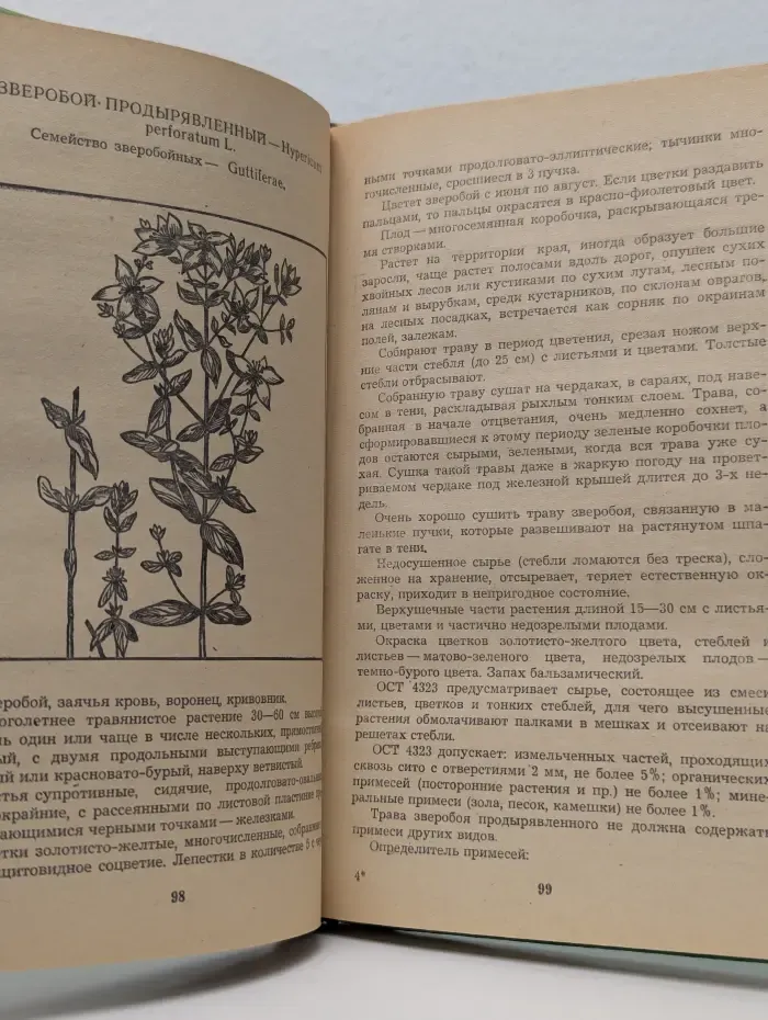 Лекарственные растения нашего края