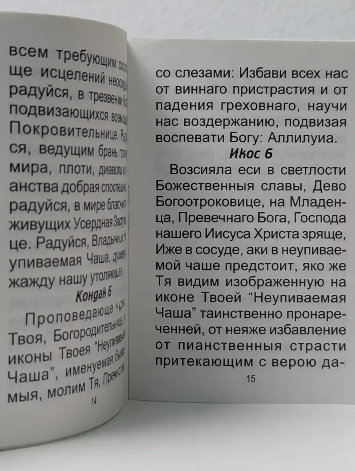 Акафист Пресвятой Богородице в честь иконы ея "Неупиваемая чаша"