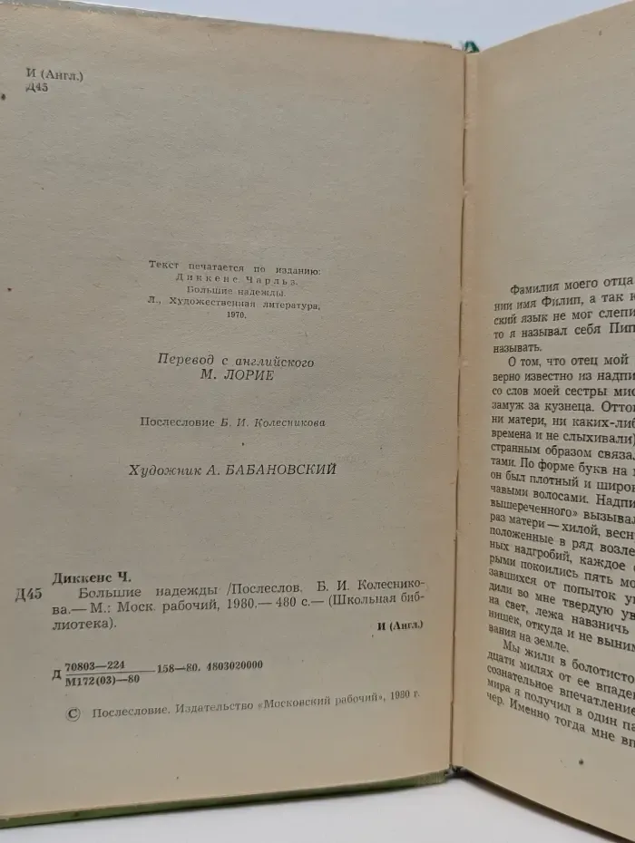 Большие надежды