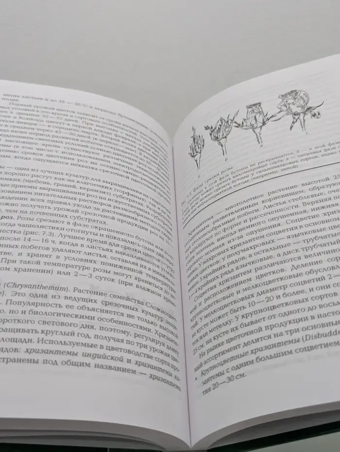 Профессиональное образование. Выращивание цветочно-декоративных культур в открытом и защищенном грунте