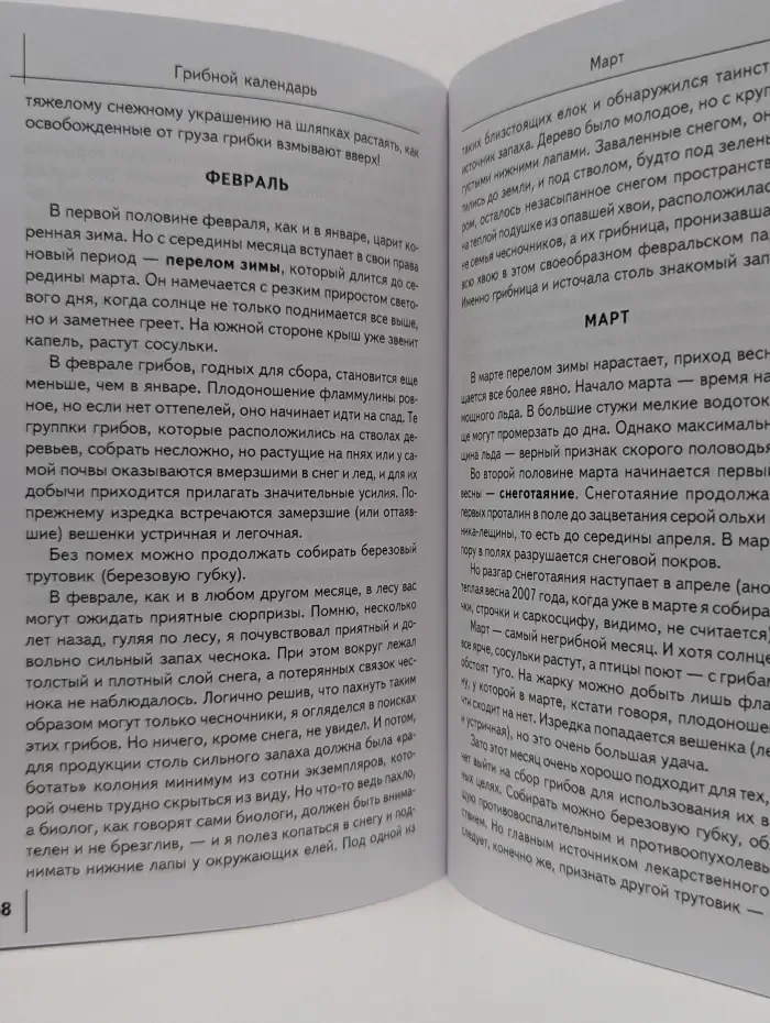 Настольная книга начинающего грибника