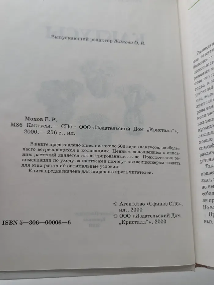 Кактусы