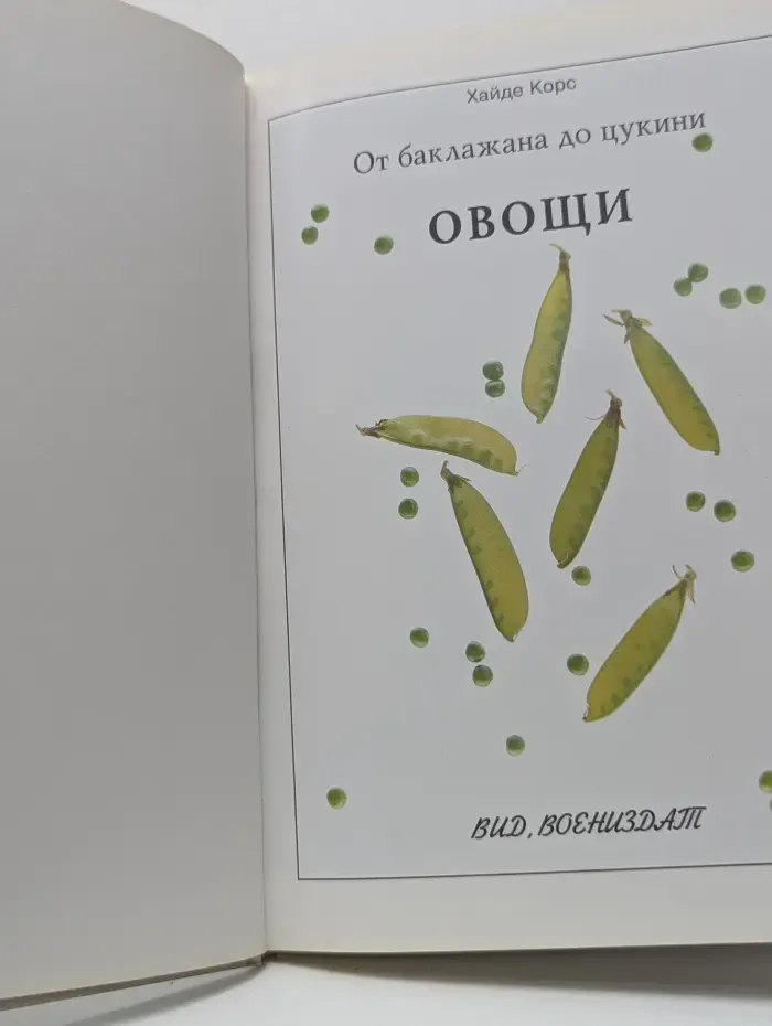 От баклажана до цукини. Овощи
