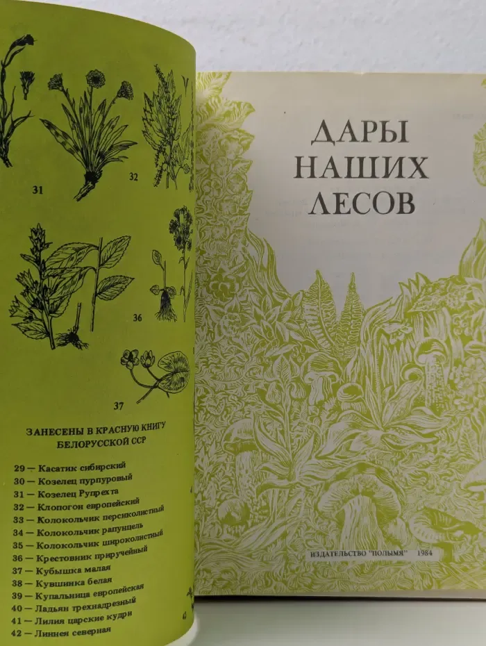Дары наших лесов