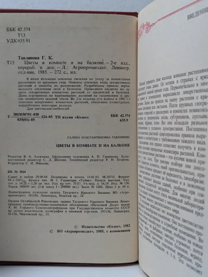 Цветы в комнате и на балконе