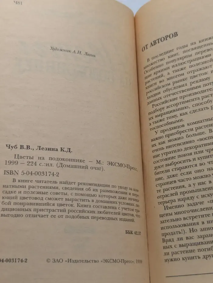 Домашний очаг. Цветы на подоконнике