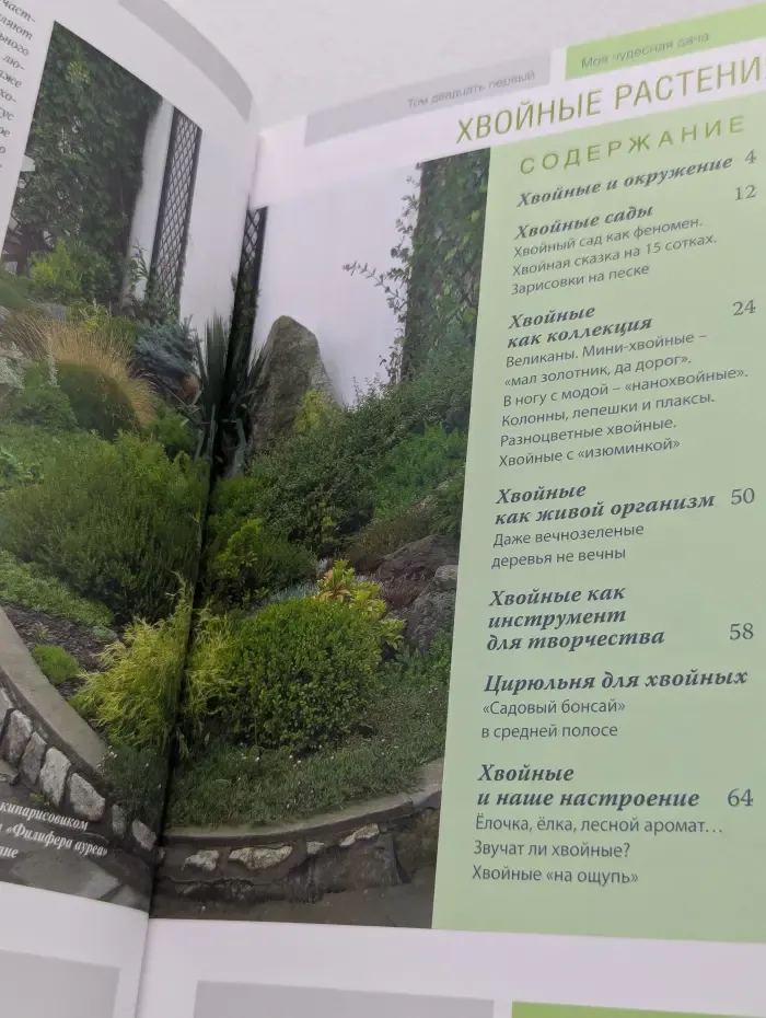 Моя чудесная дача. Том 21. Хвойные растения