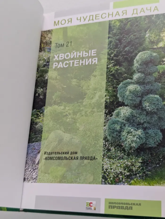 Моя чудесная дача. Том 21. Хвойные растения