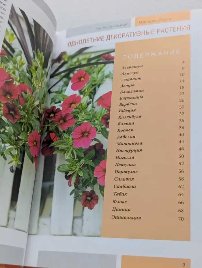 Моя чудесная дача. Том 14. Однолетние декоративные растения